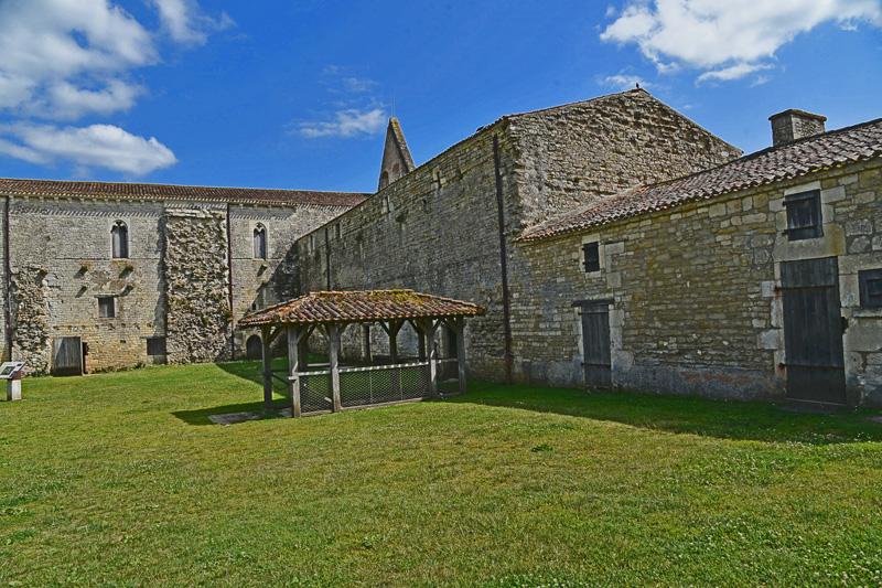 min 2025 06 08 Marais Poitevin 175